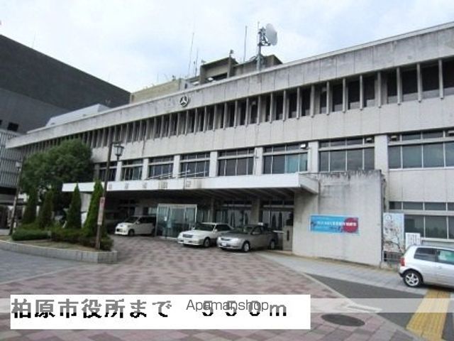 役所　柏原市役所（役所）まで550m