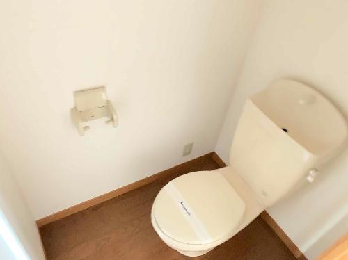 トイレ　仕様、設備は現況と異なる場合があります。