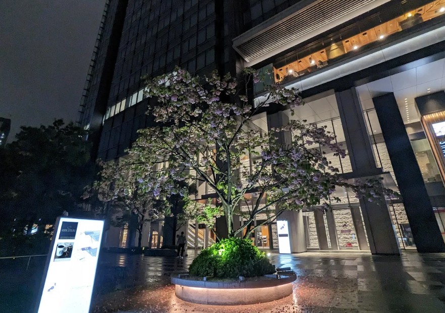 ショッピングセンター　飯田橋サクラテラス（ショッピングセンター）まで762m