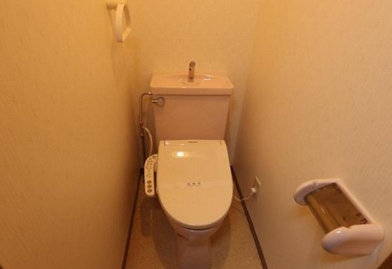 トイレ　※他号室の写真です