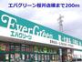 ドラックストア　エバグリーン桜井店様（ドラッグストア）まで200m