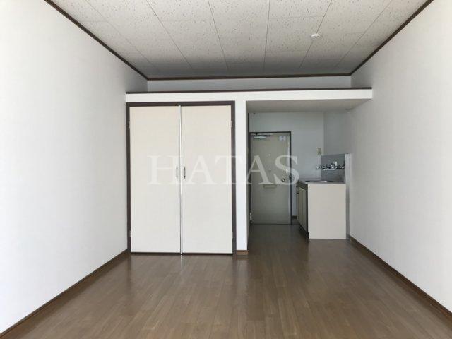 居室・リビング　同物件別部屋です。