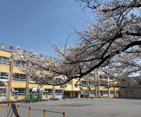 小学校　中野区立谷戸小学校（小学校）まで595m
