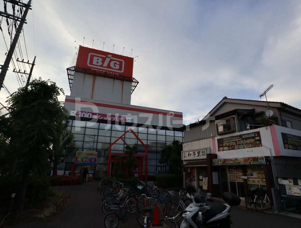 スーパー　ザビッグ八潮南店（スーパー）まで820m