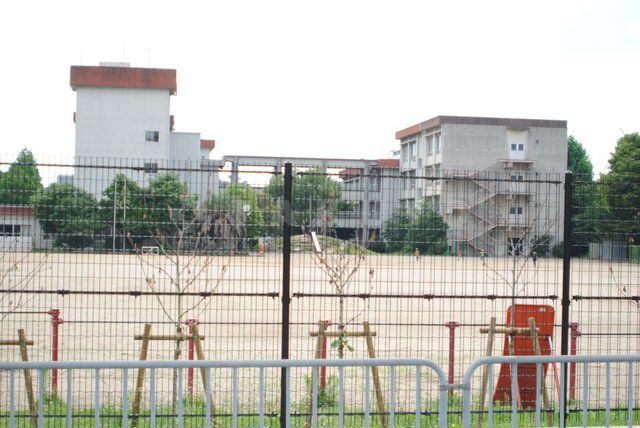 小学校　豊中市立　北条小学校（小学校）まで504m