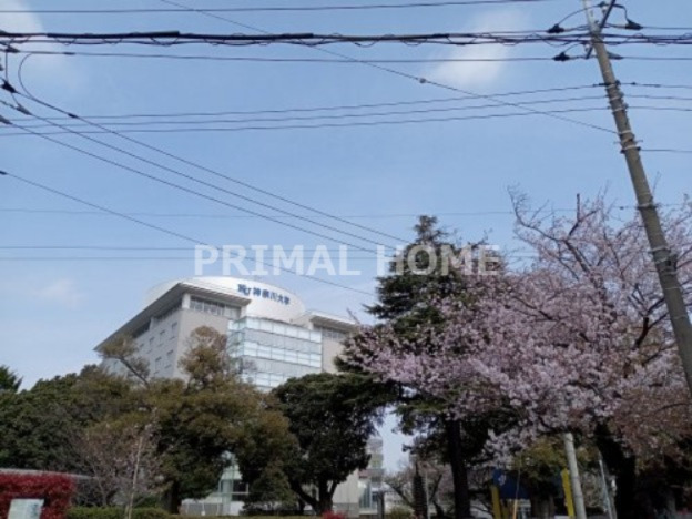 大学・短大　私立神奈川大学（大学・短大）まで573m