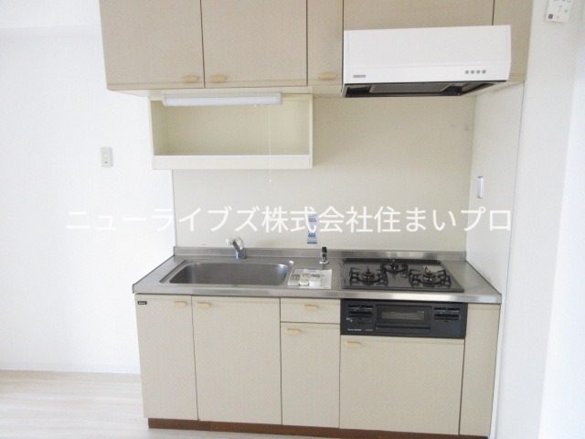 カルチェダムールC棟のキッチン写真
