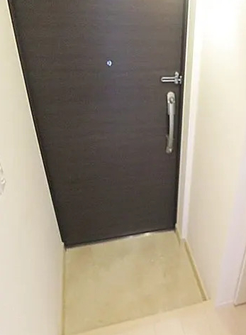 玄関　※同タイプ参考写真