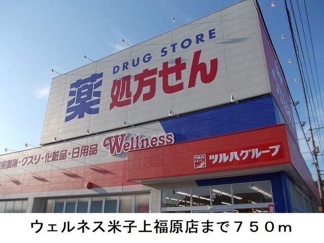 ドラックストア　ウェルネス米子上福原店（ドラッグストア）まで750m