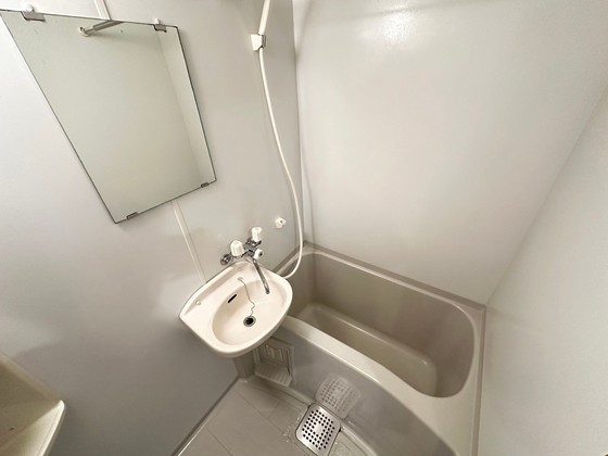 バス・シャワールーム　※別部屋の写真です