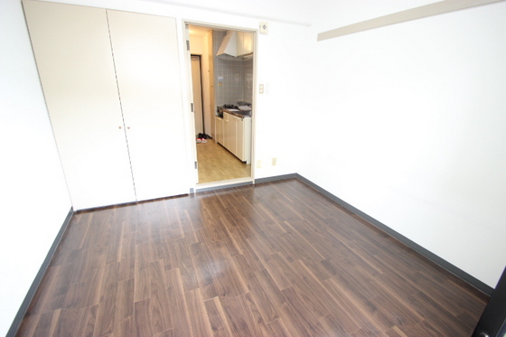 居室・リビング　※別部屋の写真です