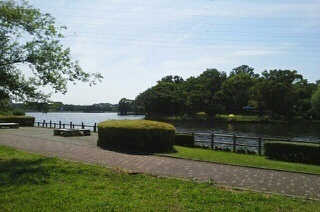 公園　門池公園（公園）まで1000m