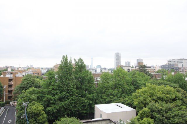 眺望　本郷エーワン東大前　文京区向丘1
