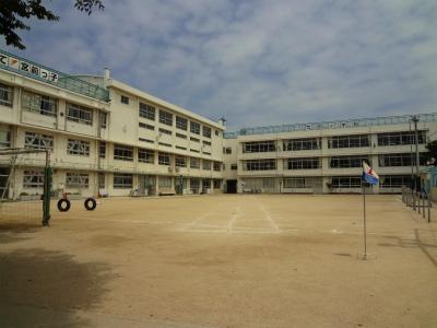 小学校　品川区立宮前小学校（小学校）まで213m