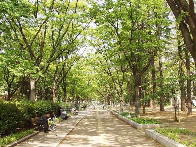 公園　靱公園（公園）まで400m