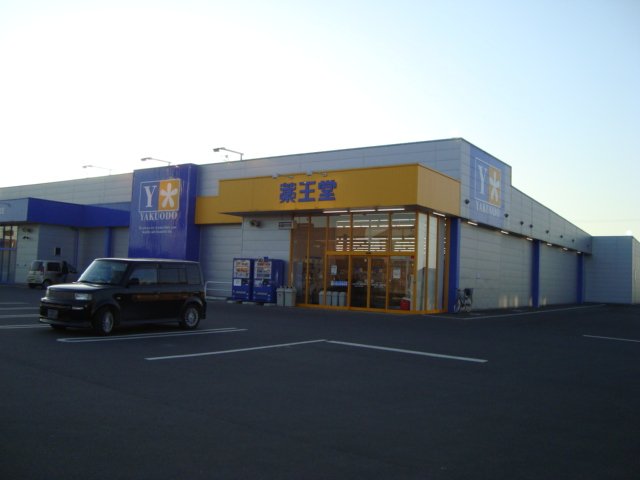 その他　薬王堂登米加賀野店まで860ｍ