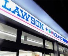 コンビニ　ローソン・スリーエフ大田北嶺町店（コンビニ）まで255m