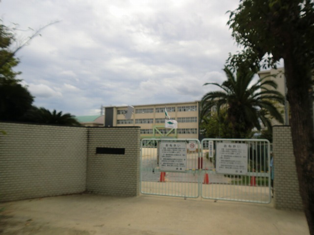 小学校　尼崎市立園和北小学校（小学校）まで264m