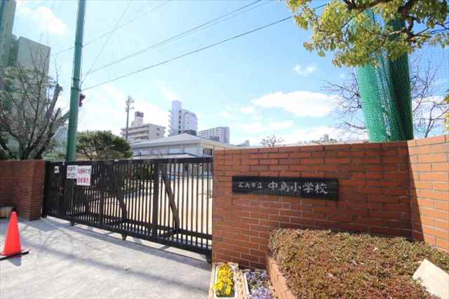 小学校　中島小学校（小学校）まで528m