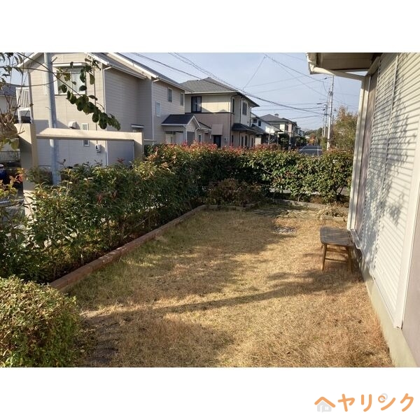 庭