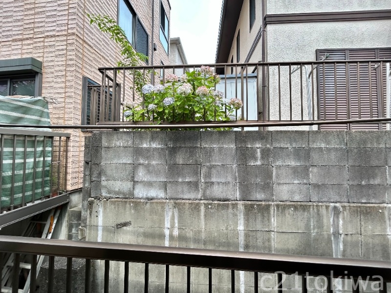 眺望
