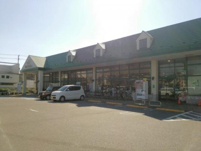 その他　マルエツ馬込沢店（その他）まで765m