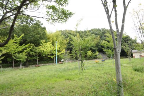 その他　池上中央公園（その他）まで286m