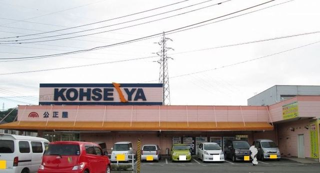 スーパー　スーパー公正屋（スーパー）まで1100m