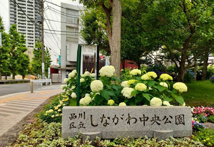 ハーモニーレジデンス品川大井町の周辺写真