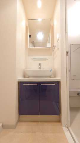 洗面設備　ステラメゾン茗荷谷（同タイプ別部屋参考画像）