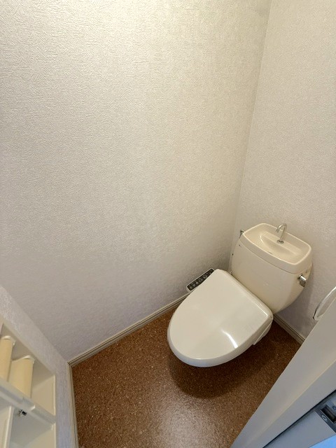 ヒルトップハイツIIIのトイレ写真