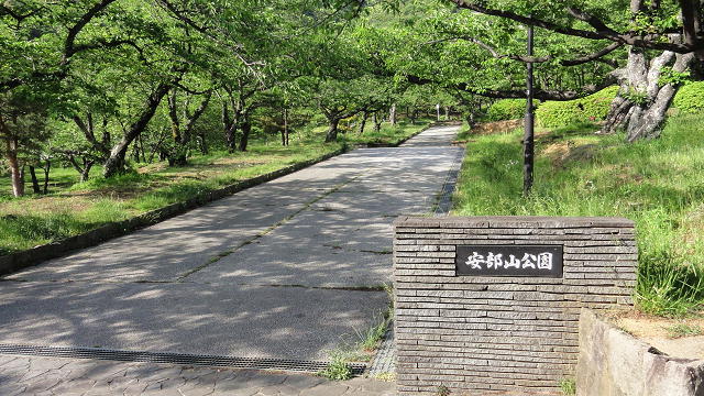 【イマージュ安部山公園の公園】