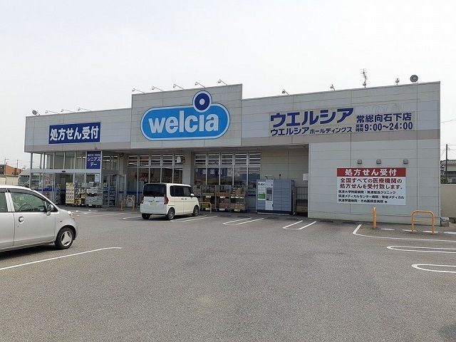 ドラックストア　ウエルシア常総向石下店（ドラッグストア）まで730m