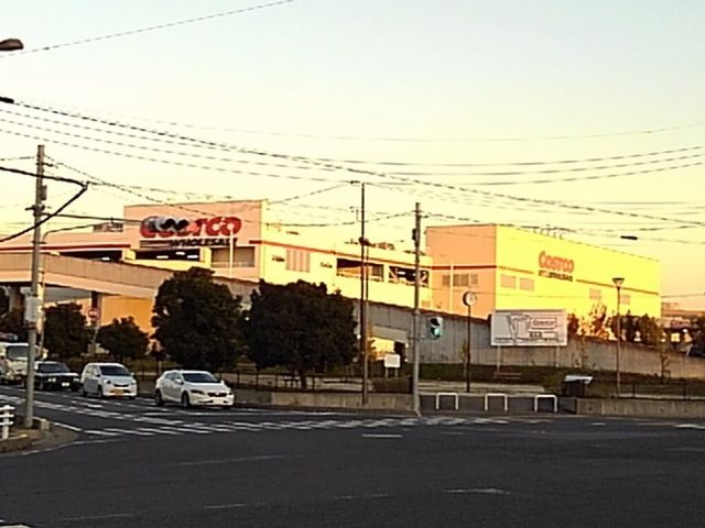 スーパー　コストコホールセール新三郷倉庫（スーパー）まで1800m