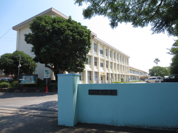 小学校　宮崎市立檍小学校（小学校）まで1049m