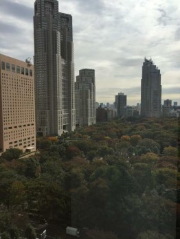 眺望　眺望
