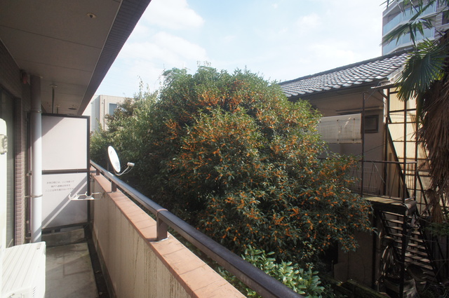 眺望　お部屋からの景色です♪