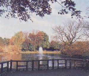 公園　和田掘公園（公園）まで246m