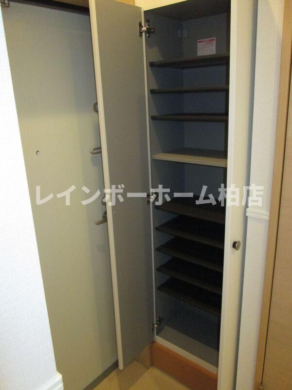 玄関　落ち着いた玄関です