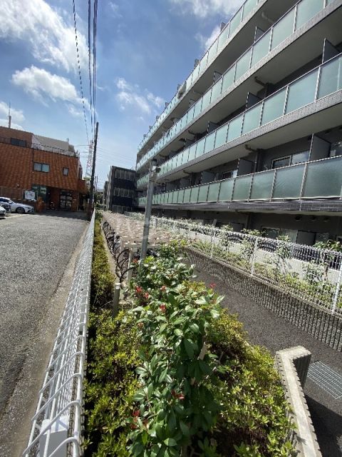 庭