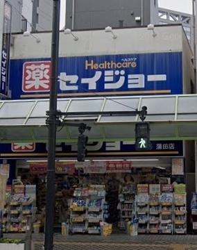 ドラックストア　くすりセイジョー蒲田店（ドラッグストア）まで233m