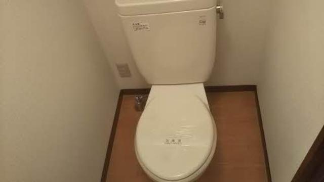 【ディアス　サーティーテンのトイレ】
