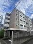 北四番丁駅より徒歩11分 4階 築11年8ヶ月の賃貸物件