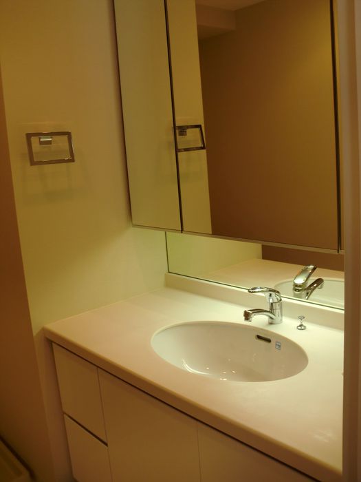 洗面設備　他部屋参考写真