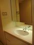 洗面設備　他部屋参考写真