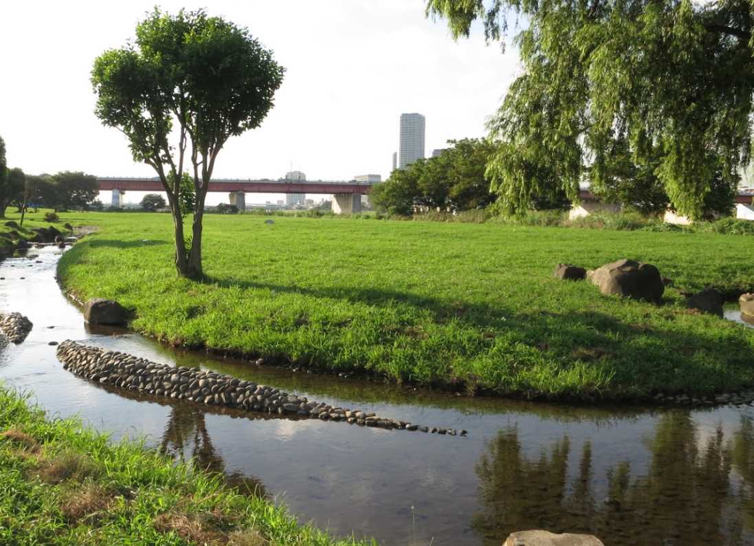 公園　高津せせらぎ公園（公園）まで606m