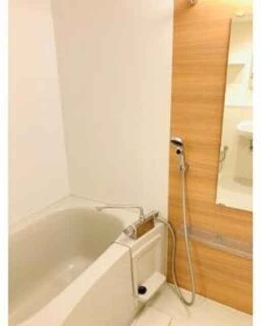 バス・シャワールーム　別部屋同仕様