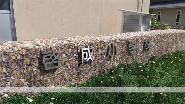 小学校　啓成小学校（小学校）まで347m