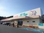 スーパー　生鮮市場ベリー藤里店（スーパー）まで736m