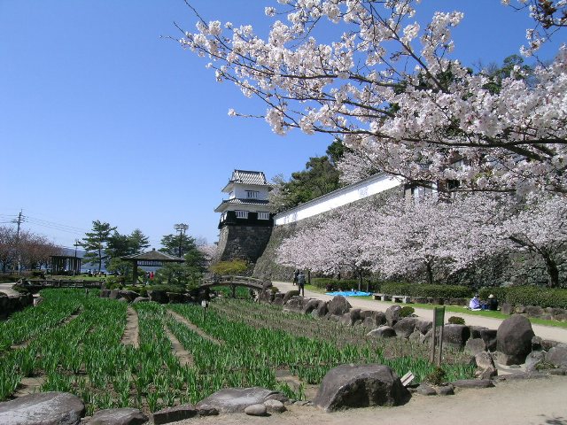 【グリーンヒルK-Iの公園】